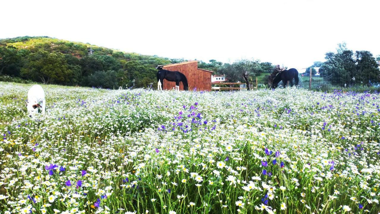 Sharish - Monte Das Estevas Estremoz Exterior foto